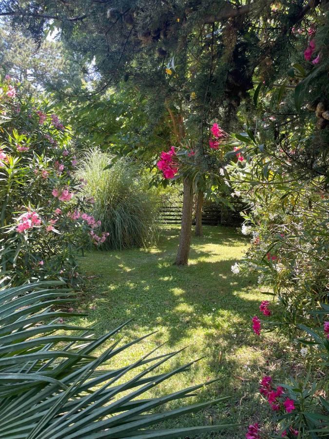 Gites Au Chateau Des Estubiers Les Granges-Gontardes Exterior foto